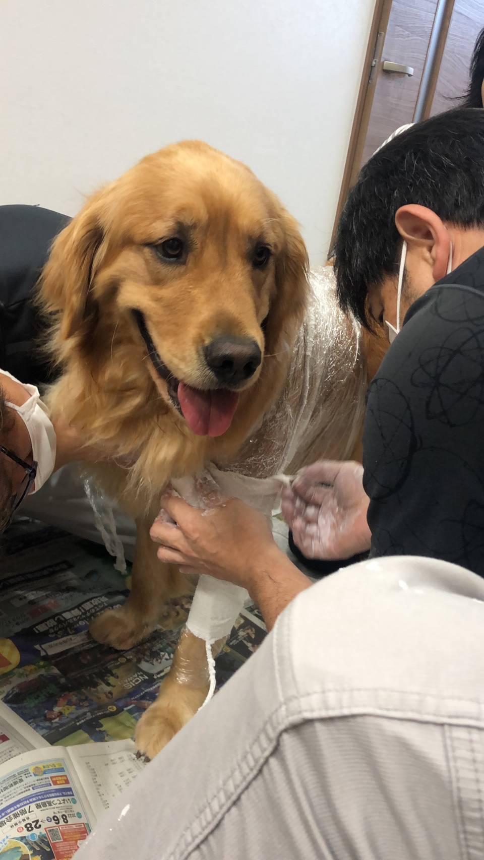 歩んだ動物2